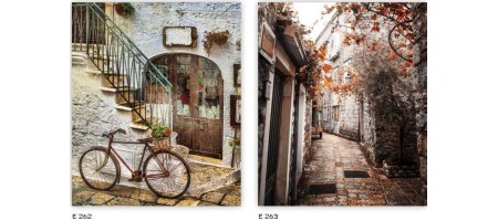 Ρόλερ ψηφιακή εκτύπωση E262 - E263